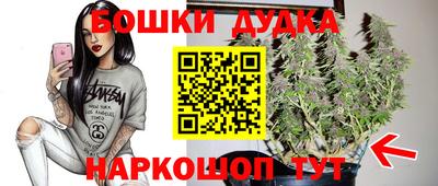 круглые Лесосибирск